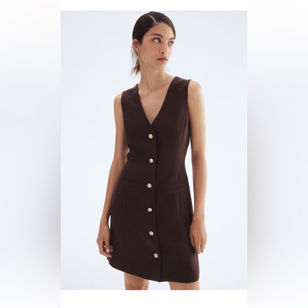 H&M Brown Mini Dress with Gold Buttons